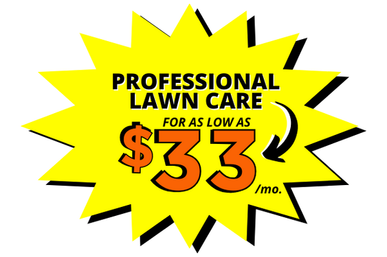 1-professional lawn care