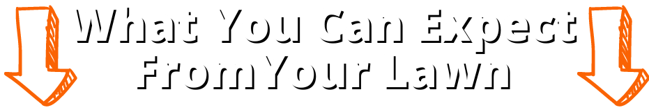 3-what you can expect