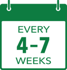 4-7 weeks calender icon green