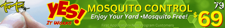 Banner Ad Mosquito (1)