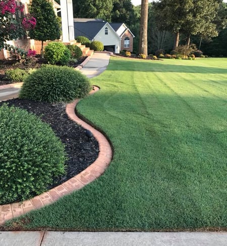 Bermuda LAwn customer copy