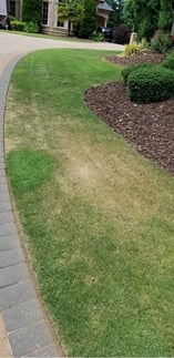 Drought Stress 14