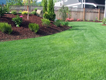 Green Lawn with Flower Bed