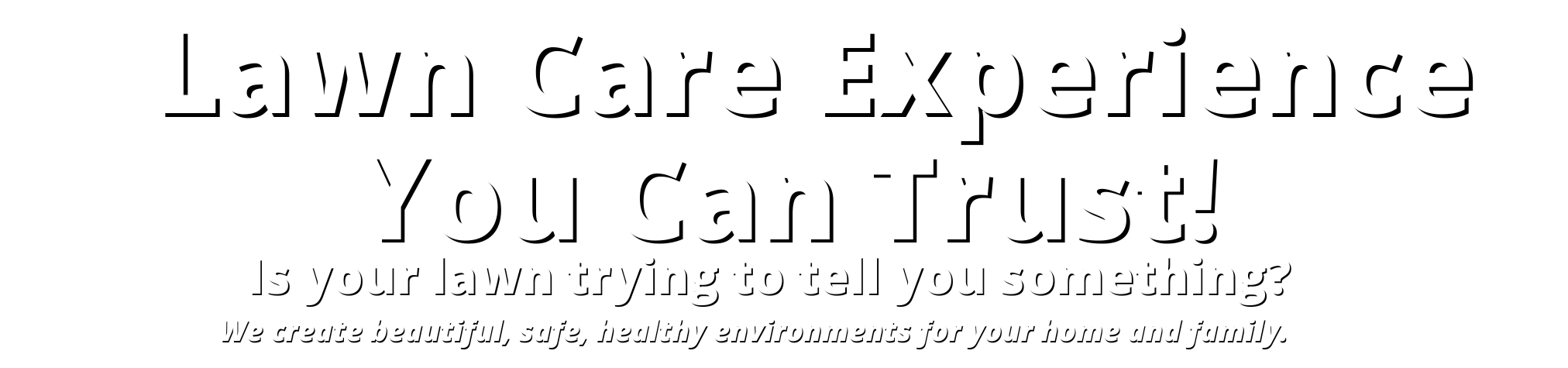 Home page headline lawn care experts