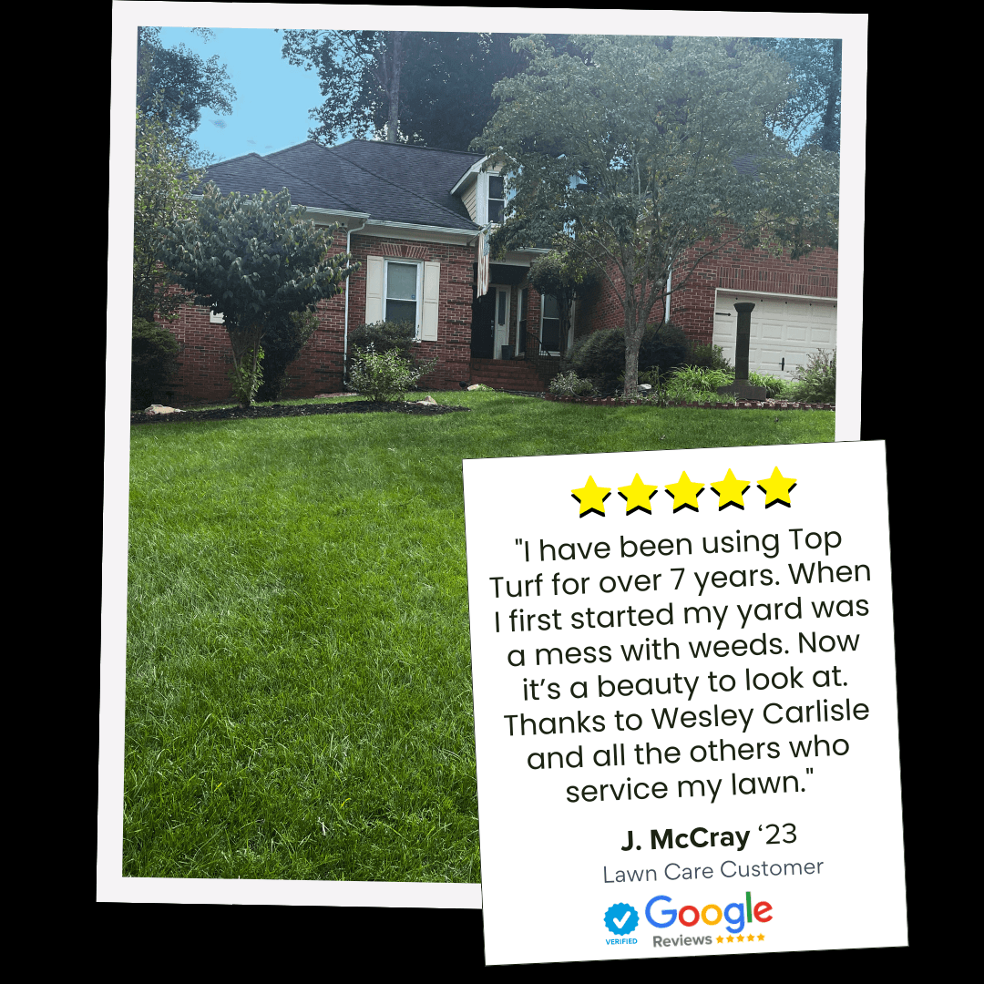 Reviews