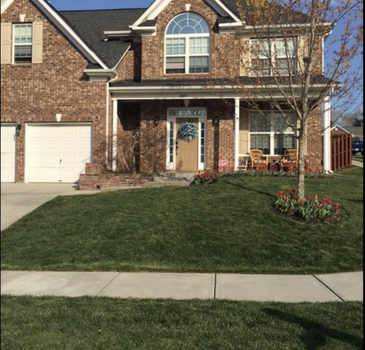 Tall Fescue lawn cornelius