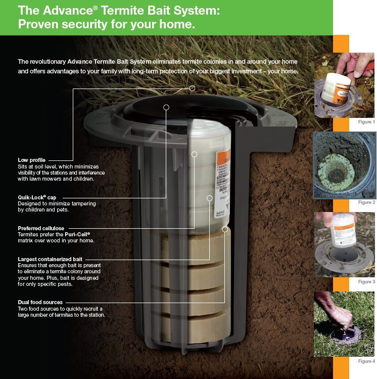 termite bait station installed around home and monitored