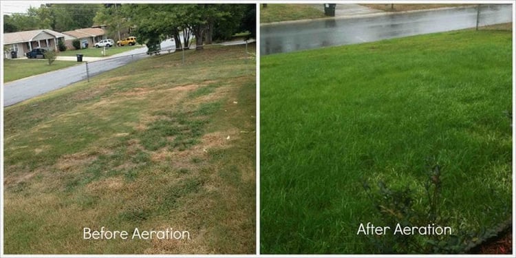 before-and-after-lawn-aeration-800x400