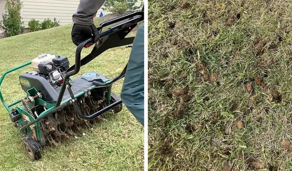 aeration machine and plugs combo image