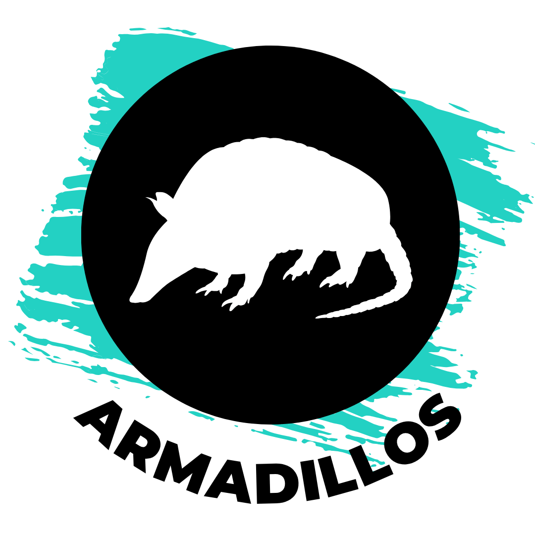 armadillos-1