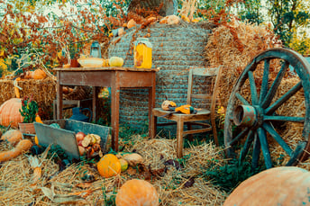autumn-vintage-decor-with-pumpkins-2024-09-13-19-19-11-utc