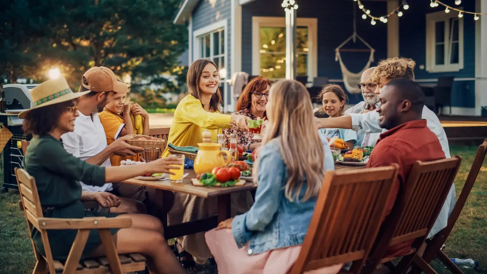 backyard bbq with family and friends no mosquitoes - ss