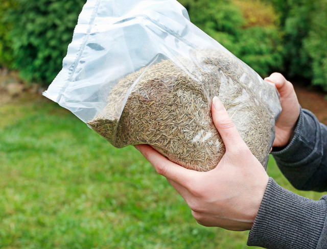 bag of seed 600x300