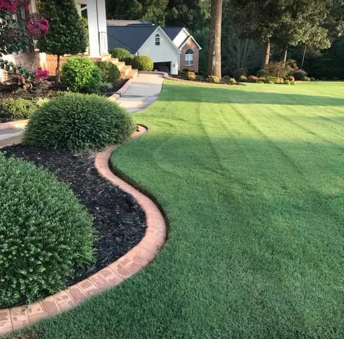 bermuda front lawn curb appeal