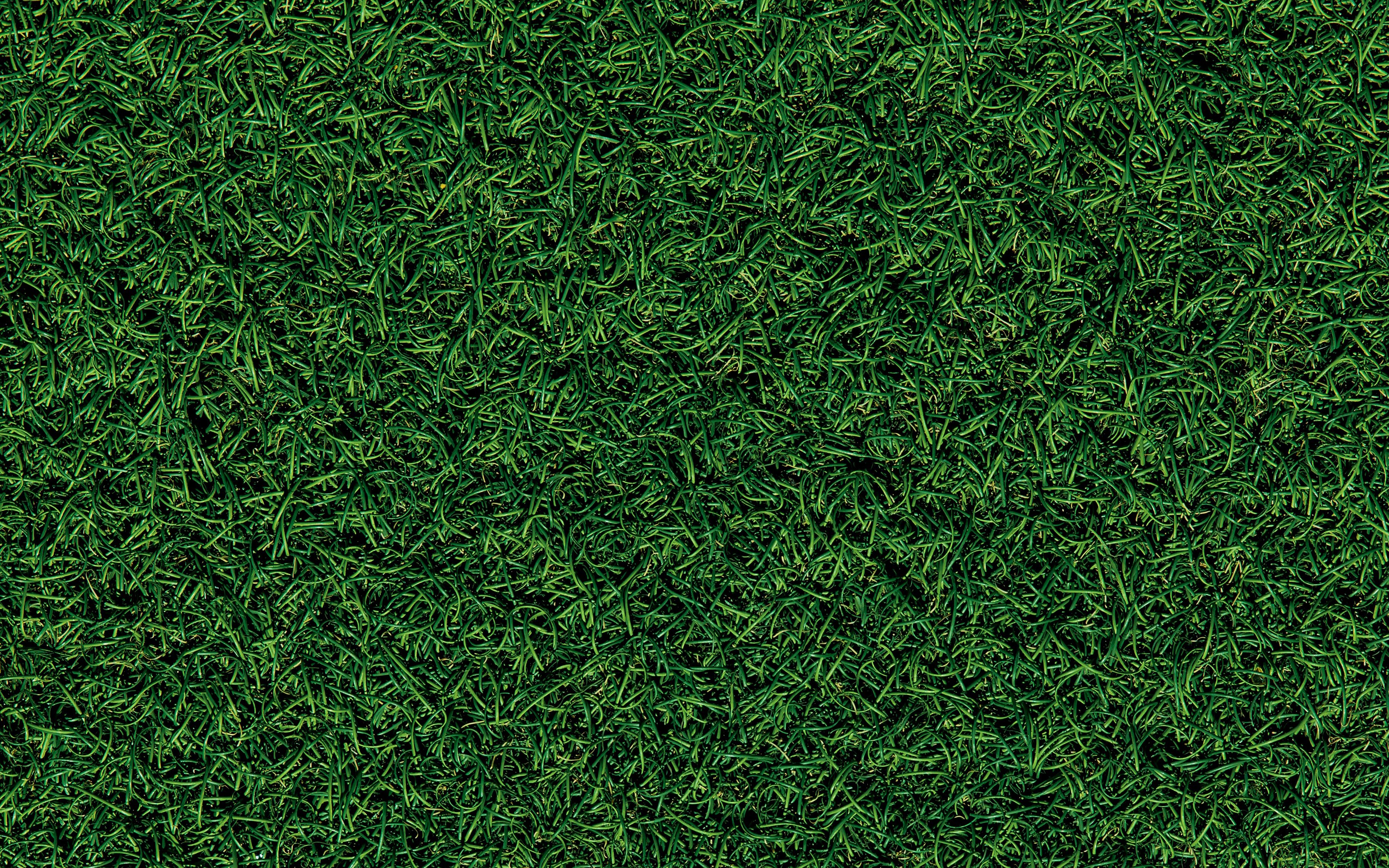 bermuda-grass-40x25