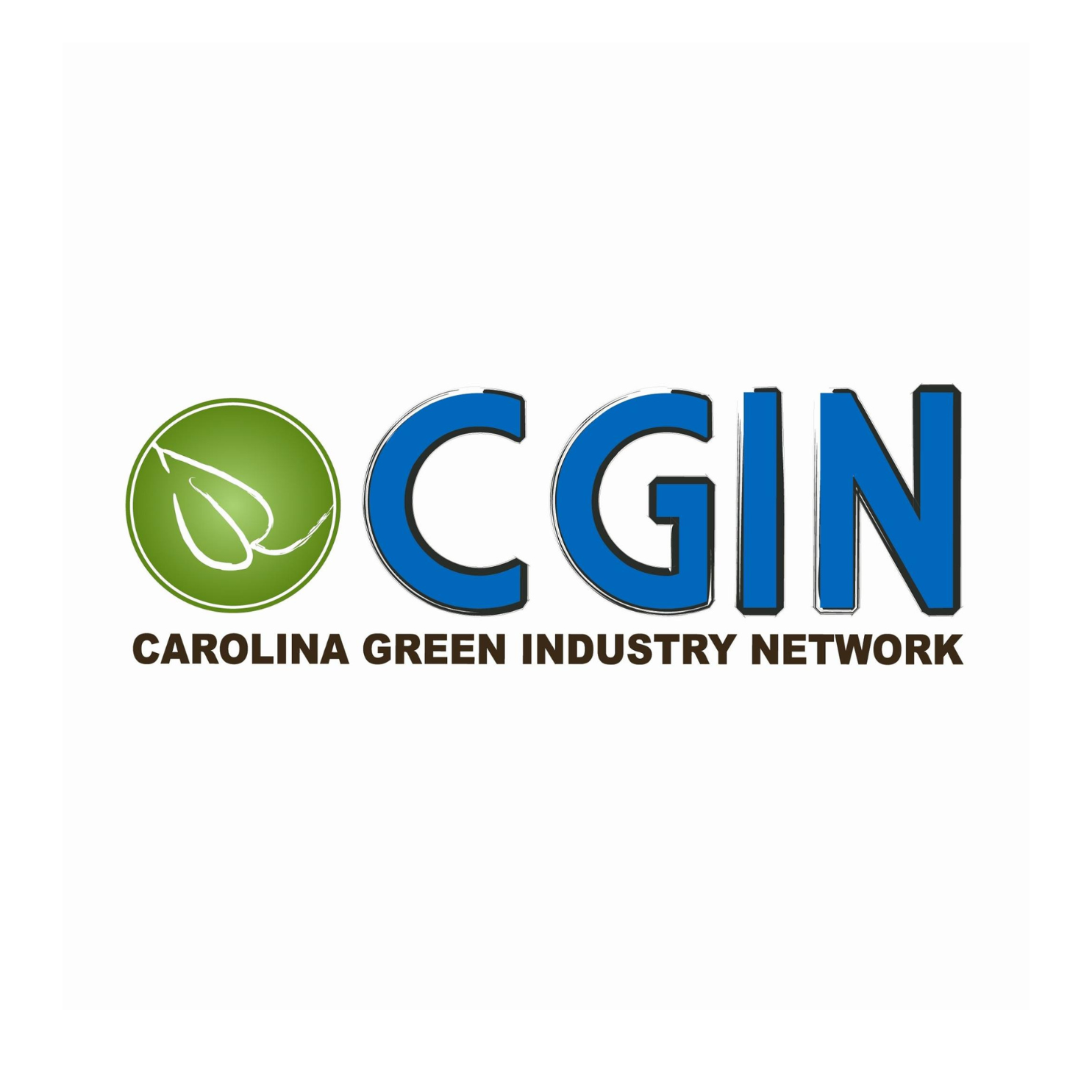 cgin final