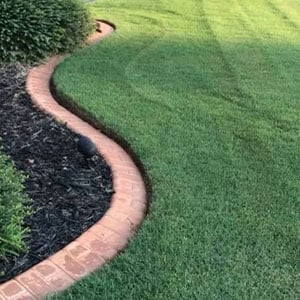 chris watkins lawn 