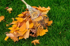 rake and leaves top turf