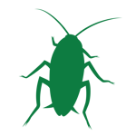 cockroach silhouette alone icon square green-01