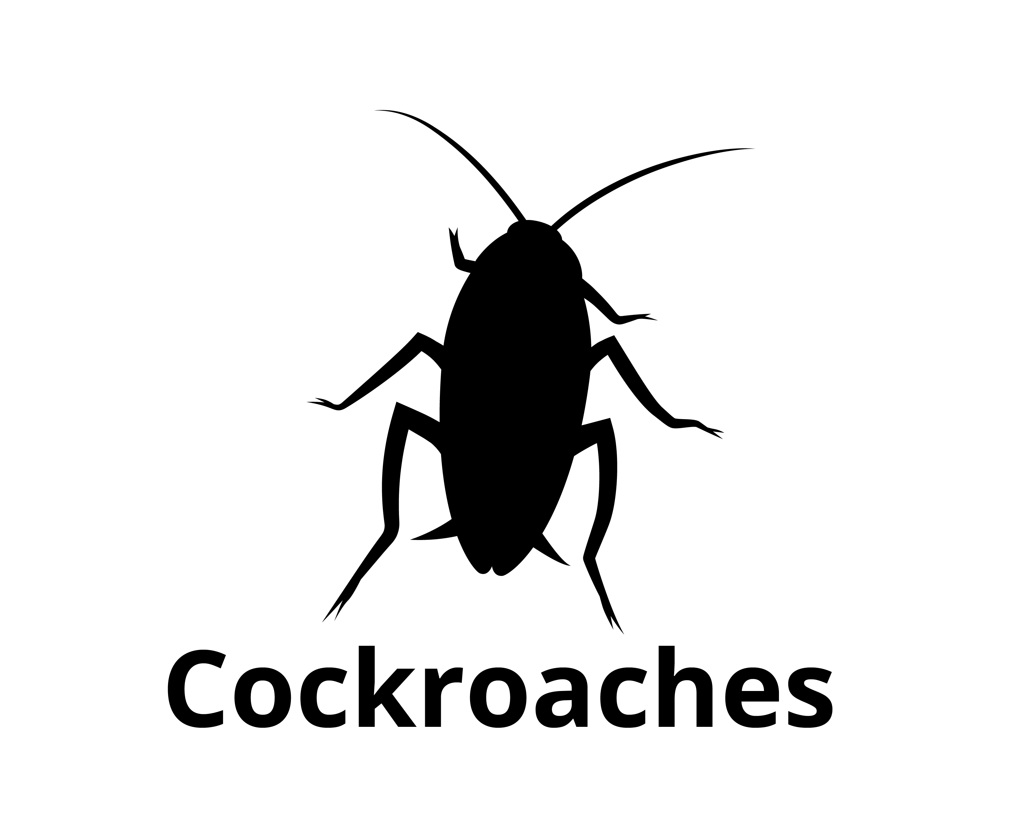 cockroaches silhouette padding extra-01