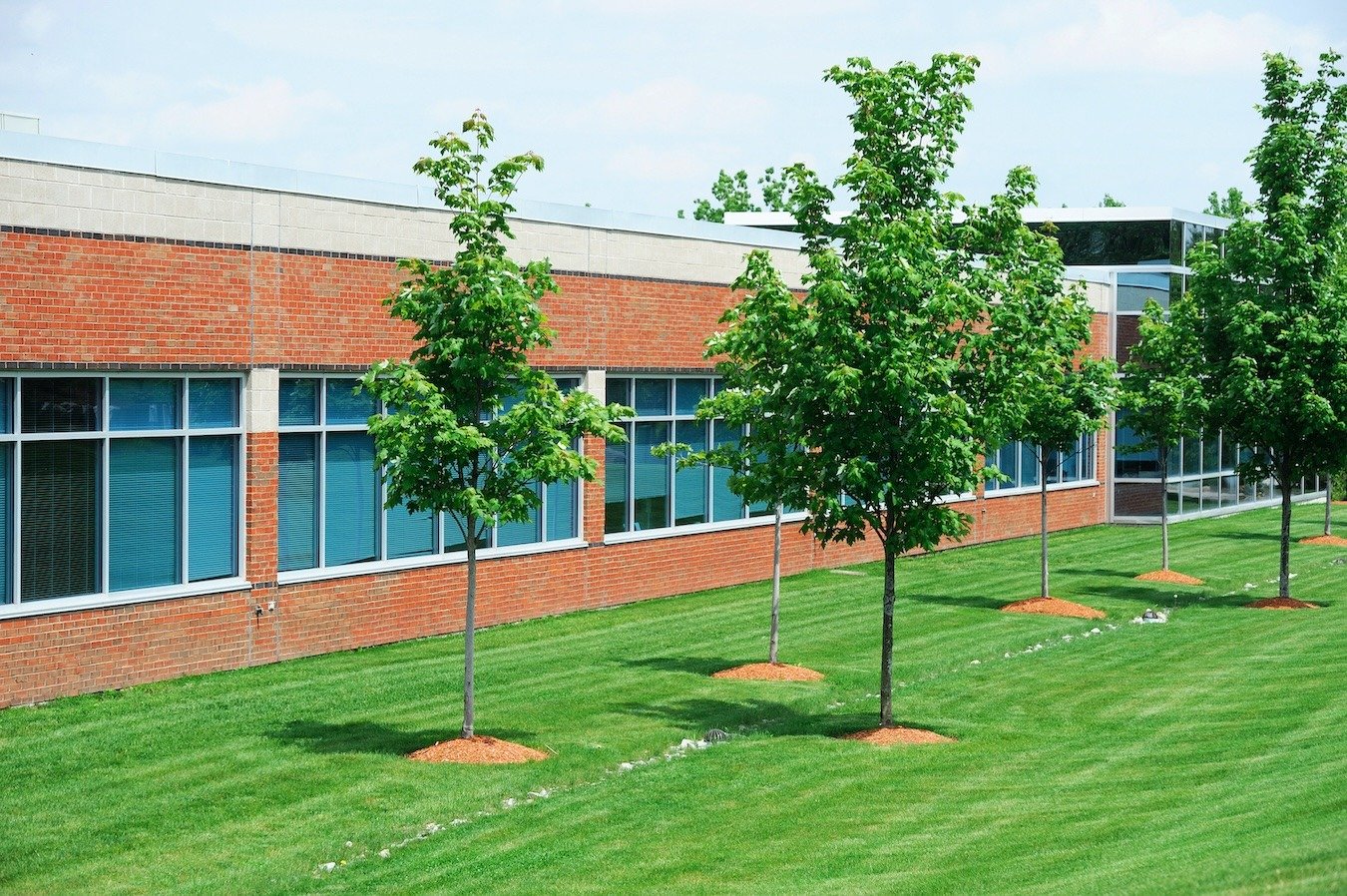 commercial property 2 - ss