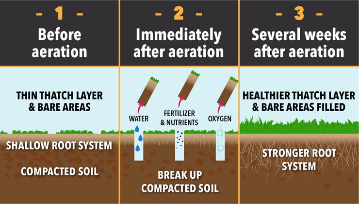 core aeration infographic - 092623 - tt