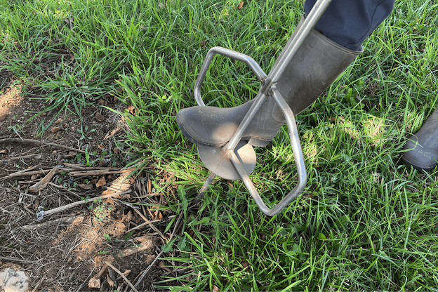 Deep root fertilization