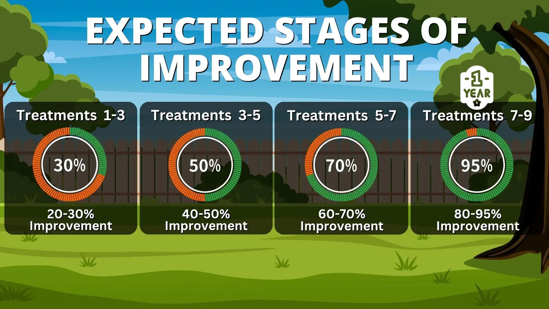 expected stages of lawn care improvement infographic