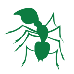 fire ant alone square green-01