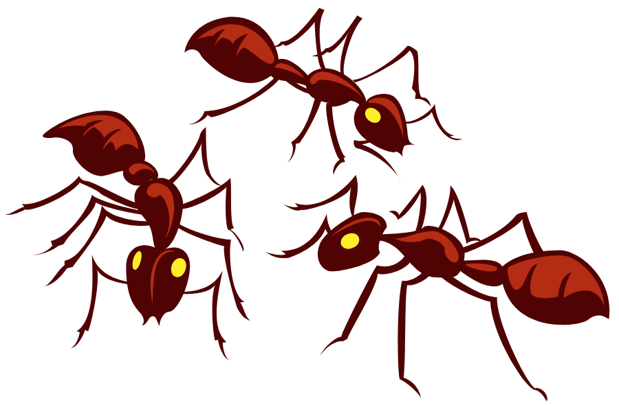 fire ants canva-1