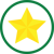 gold star icon green