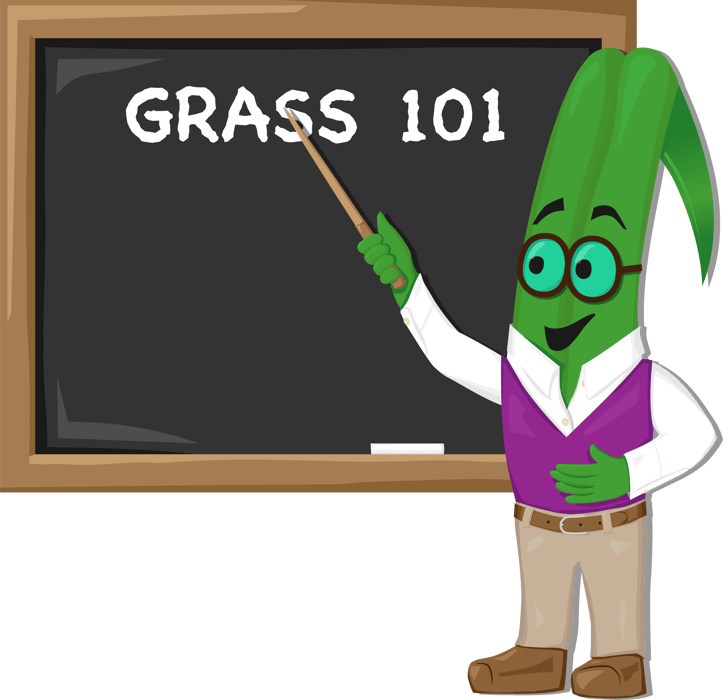 grass blade teacher drawing small-2