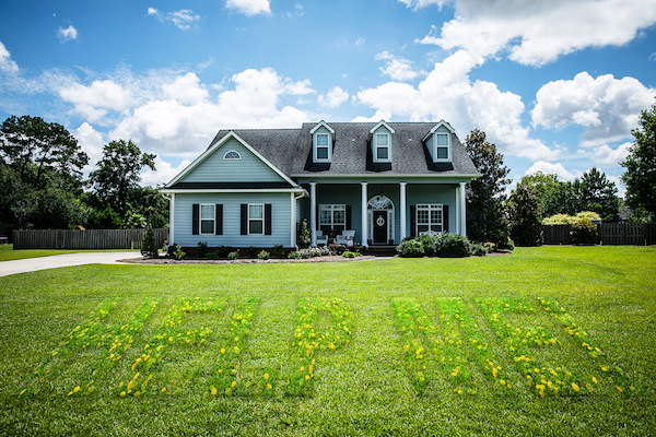 is your lawn trying to tell you something-smaller file