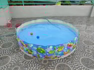 kiddie pool - ss