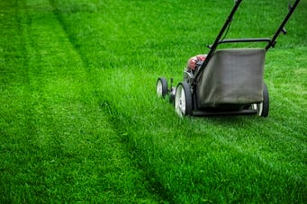 mowing-vibrant-green-grass-in-the-spring-sunshine-2026-01-07-06-44-47-utc