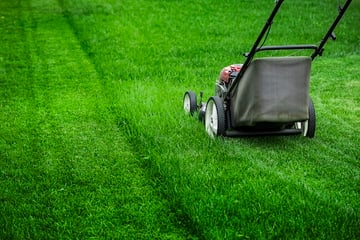 mowing-vibrant-green-grass-in-the-spring-sunshine-2026-01-07-06-44-47-utc