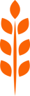 nutrition icon