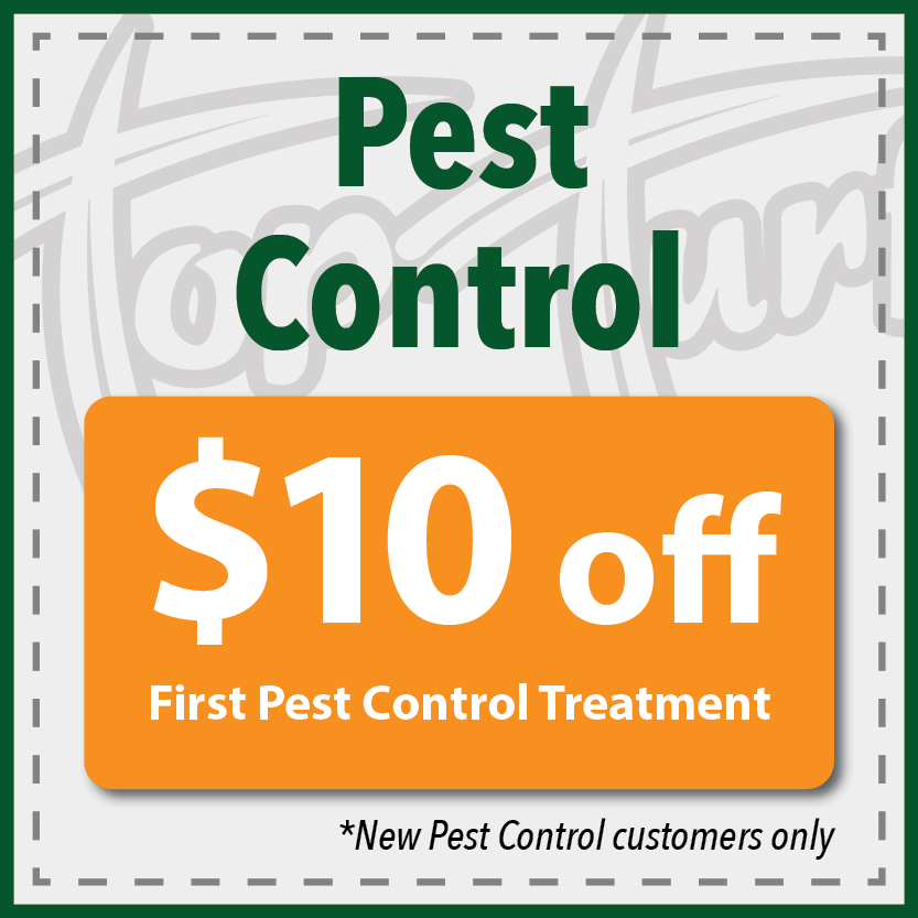 pest control 10 off coupon 2