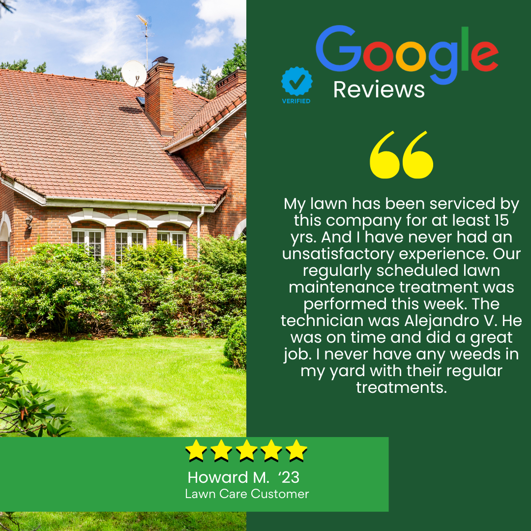 review for landing page