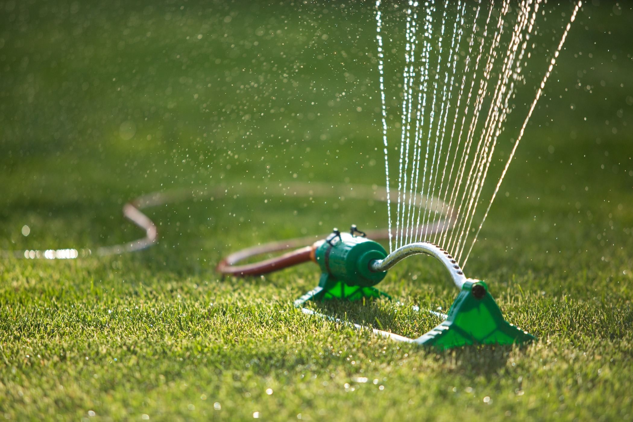 360° Rotation Auto Irrigation Sprinkler – Adjustable Lawn Watering System, 800 Sq.ft, The Perfect Part