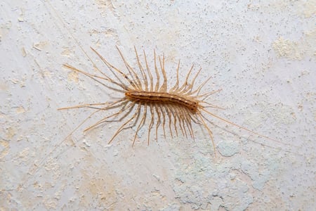 shutterstock_2032946390
