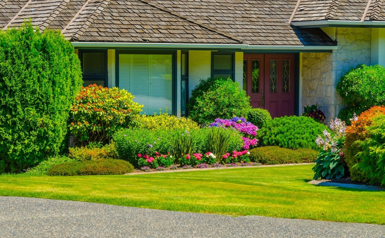 Quality Lawn Care Program and Services Top Turf