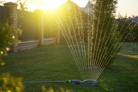 Don't Have In-Ground Irrigation? DIY Sprinkler System 
