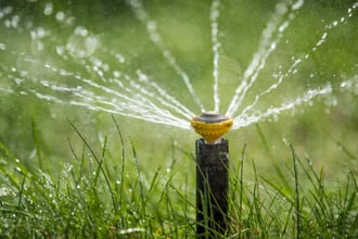 sprinkler-in-action-watering-grass-2025-03-26-16-49-01-utc