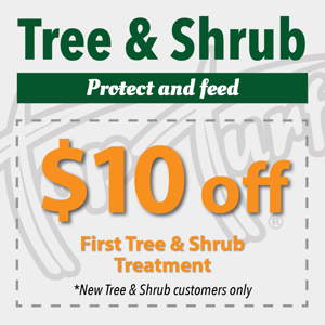 square coupons for emails-gray2