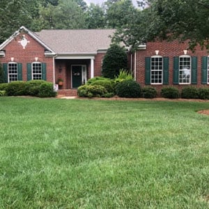 sterling lawn 2 300x300