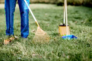 sweeping-leaves-with-orange-rake-2023-11-27-04-58-14-utc