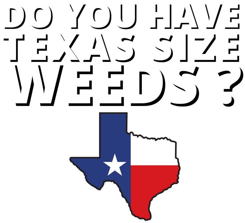 texas size weeds (2)
