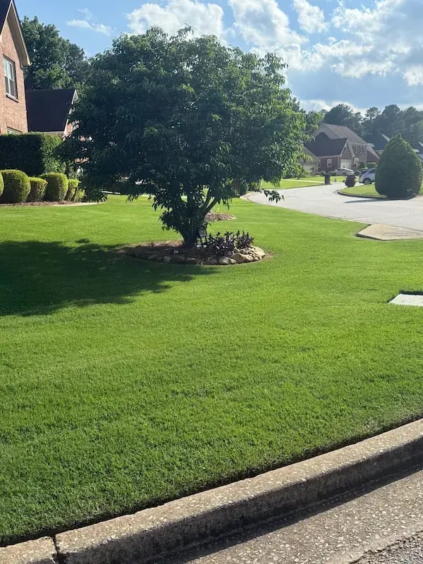 top turf customer lawn 1