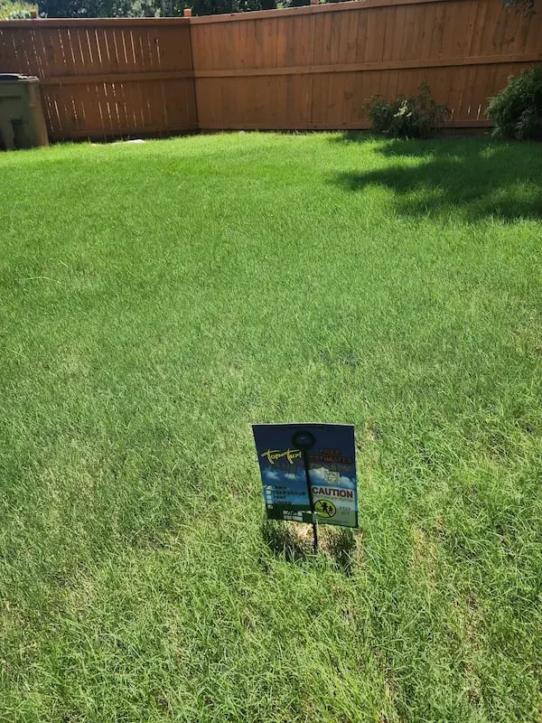 top turf customer lawn 6